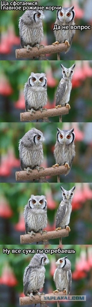 Фотографируемся)