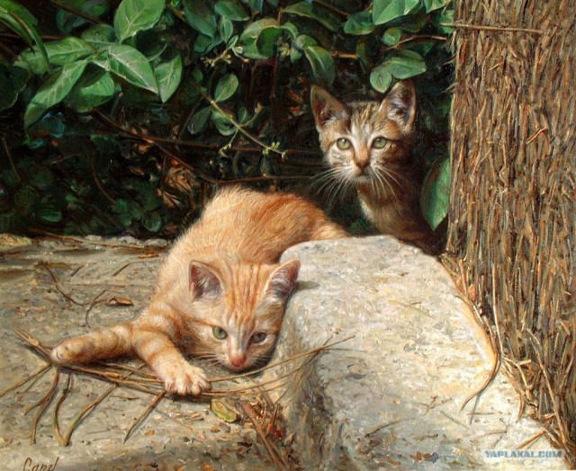 Рисованный котовторник