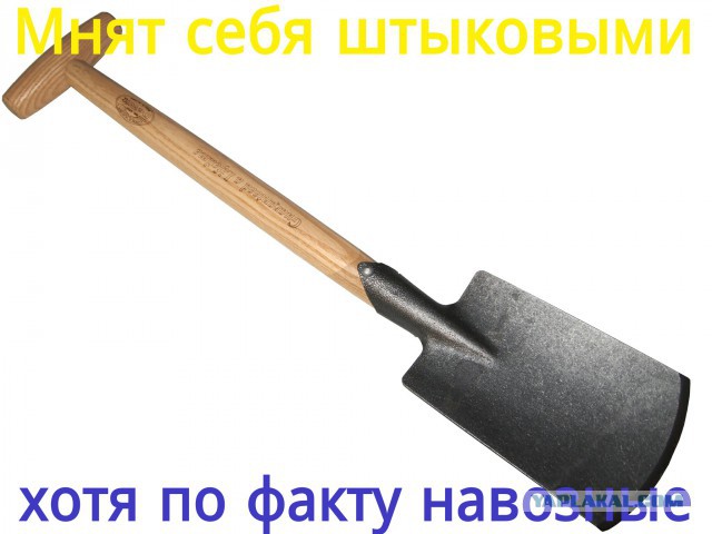 Боевые буряты