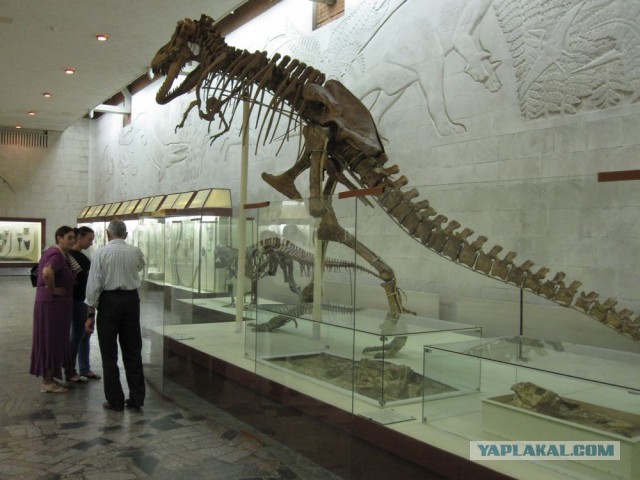 10-ка самых устрашающих доисторических монстров