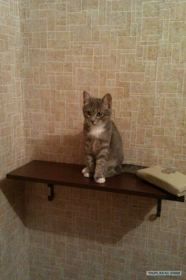 Вешалка в прихожку за час