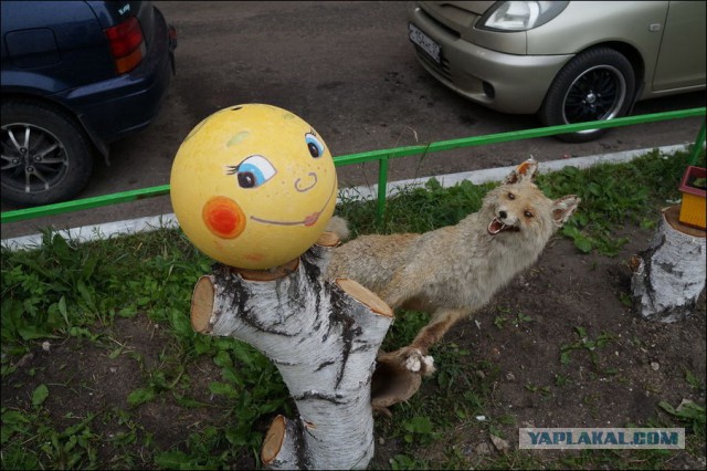 Наши дворы