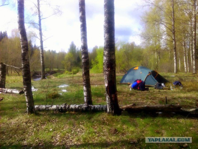 Как мы День Победы  отмечаем...