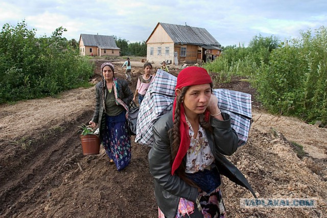 «Нам бог велел, чтобы мы обманывали»