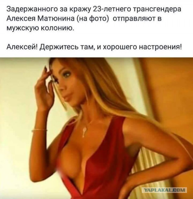 Смешные картинки из сети на 19.11.16