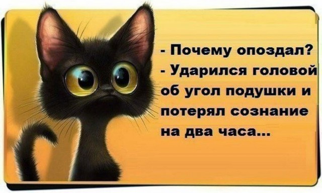 Всячина. Картинки и тексты картинками
