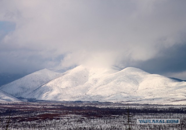 Тайга, страшные истории
