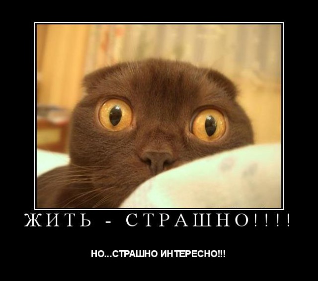 Всё когда-то в первый раз