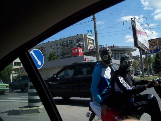 Подборка безудержного веселья