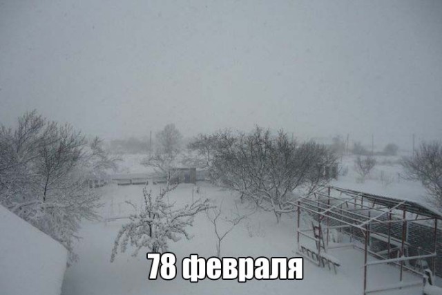 Подборка интересных и веселых картинок