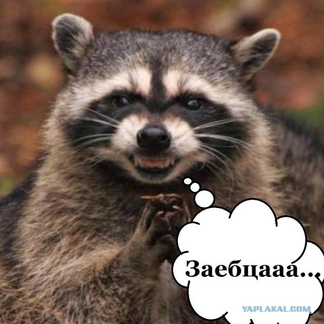 Продуманые и оборзевшие