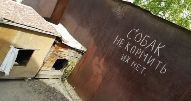 Картинки из сети