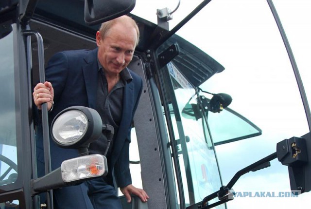 Итальянец создал гигантский портрет Путина с помощью трактора