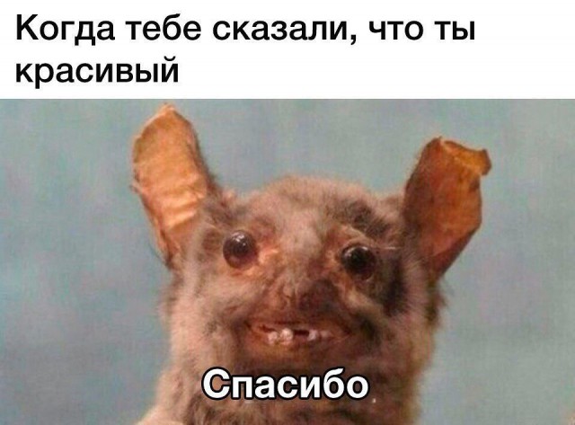 25 картинок в этот понедельник