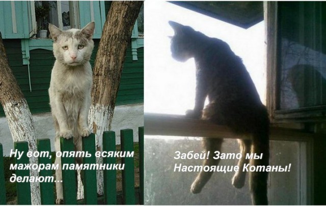 Скульптуры по мотивам мемов с животными