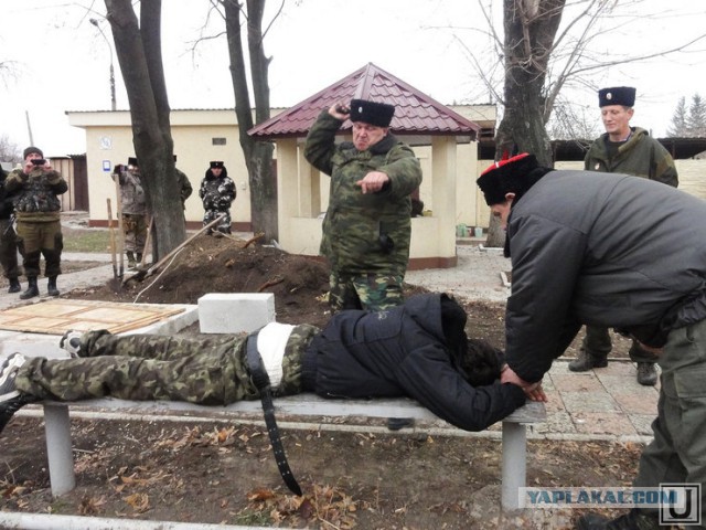 Власти Кубани доверили казакам проведение плановых школьных занятий по профилактике атеизма