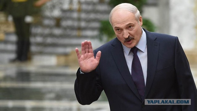 Какая в действительности форма у Земли и почему?