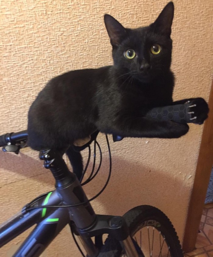 Paзнoвиднocти тьмы