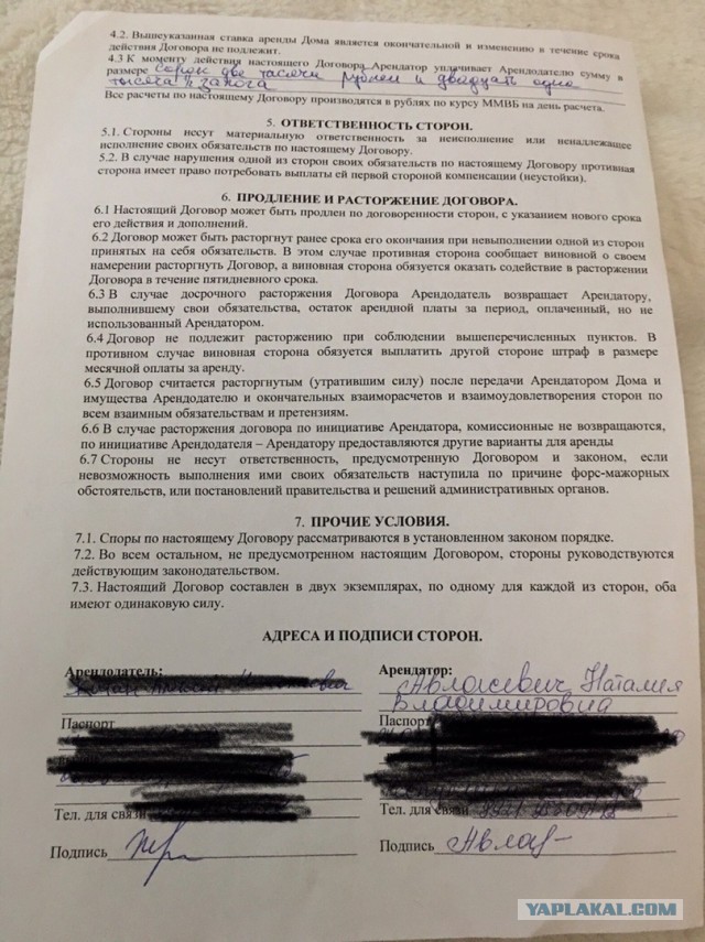 Помогите вернуть кота! Приют "Преданное сердце" украл кота и не отдает!-2