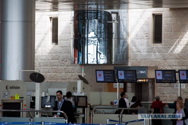 Опал, как озимый!