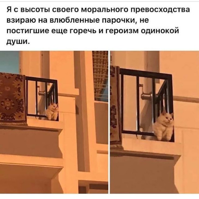 Немного картинок для настроения 06.01.20