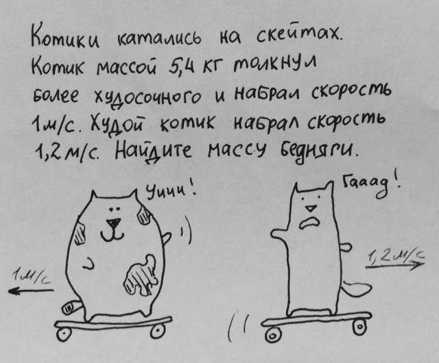Кот развлекается