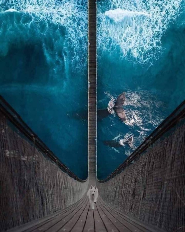 Crazy Art 133Mhz