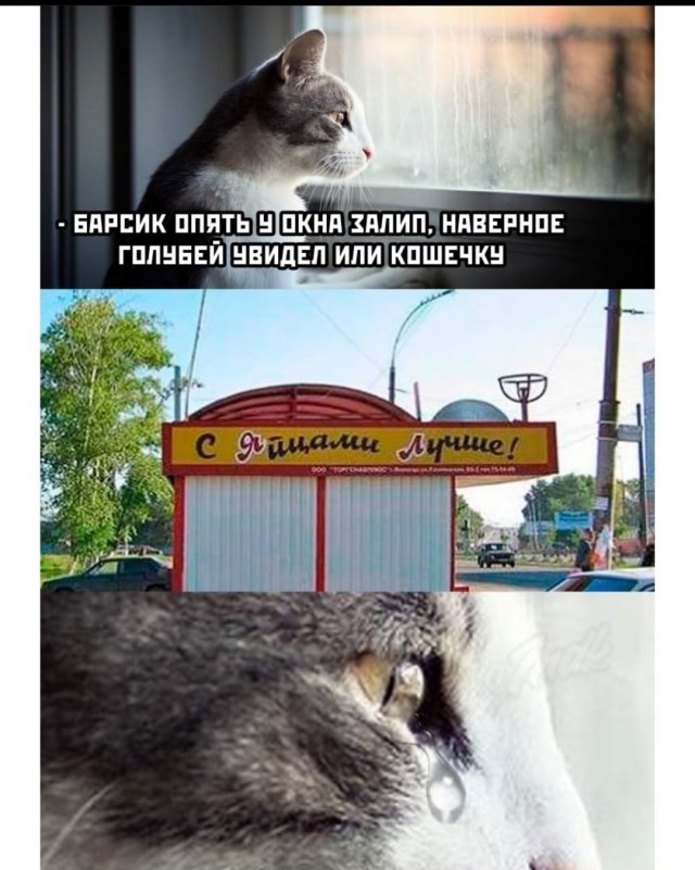 Чуток картинок 05.05.20