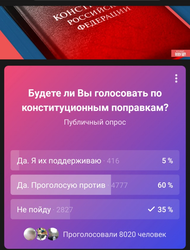 В Нижнем Новгороде в одной из групп поставили опрос по голосованию.