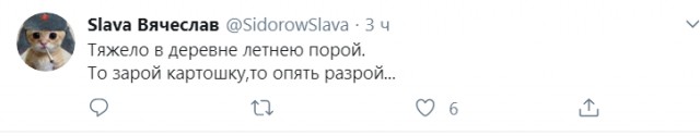 Бредзона 21.08.2020