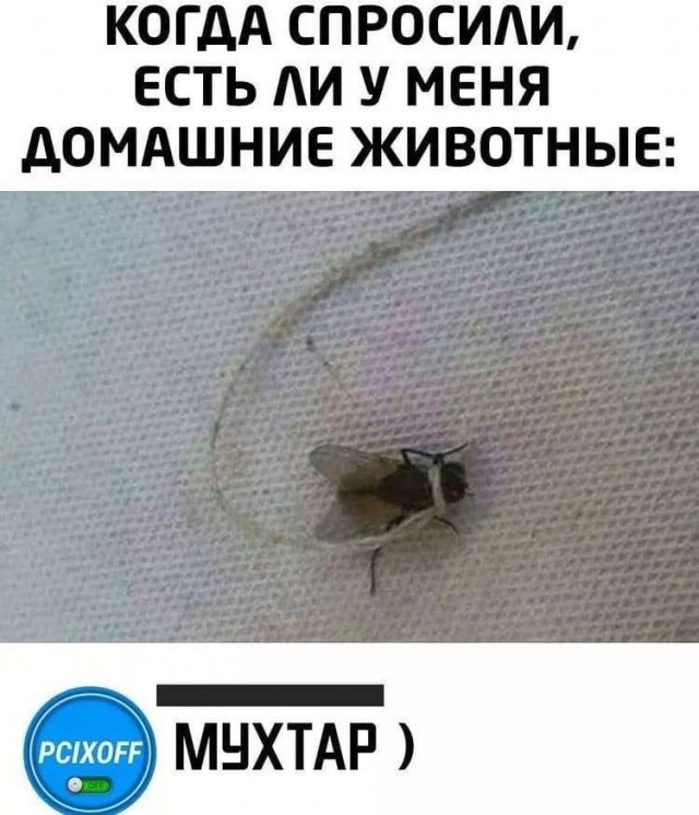 Картинки 09.01.21