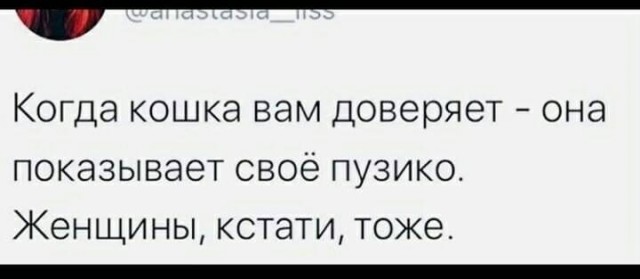 Немного разностей, шалостей и пушистостей