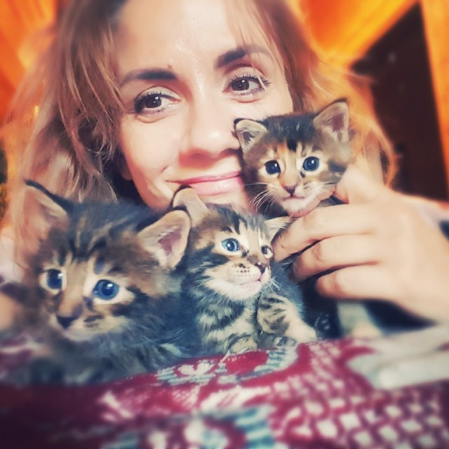 Девушки котовторника