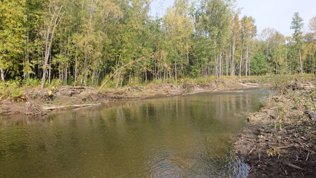 Закрытие сезона (рыбалка)