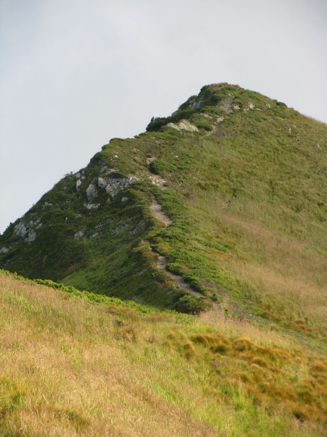 Карпаты, Закарпатье.