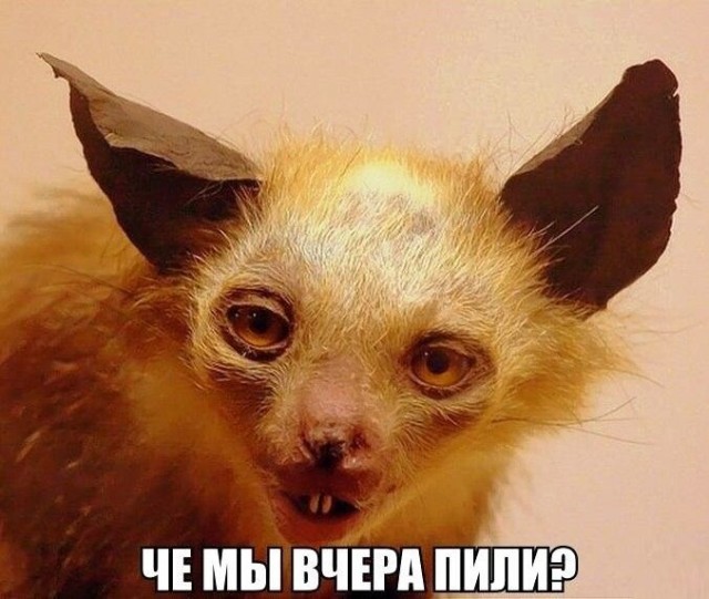 Алкопост 4.02.22