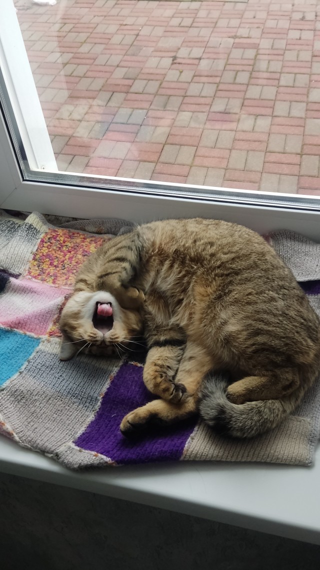 Весёлые картинки 13.04.2022