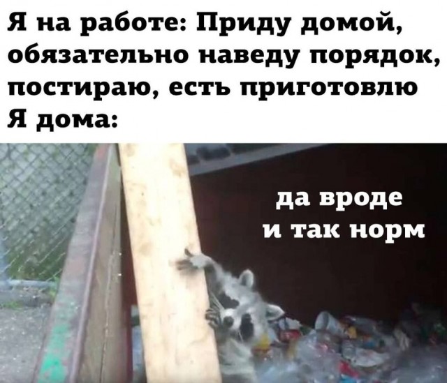 Так себе картинки 01.07.22