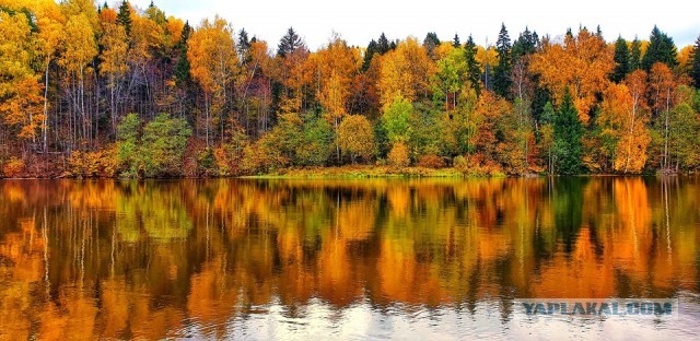 Фото с телефона