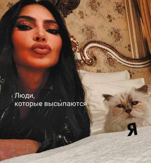 Подборка картинок 06.05.2023