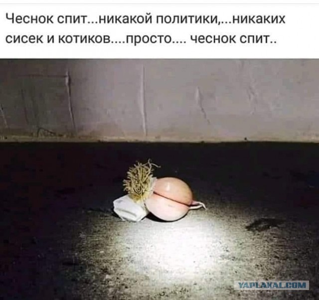Почему женщина избегает исполнять супружеский долг?