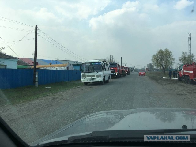 Задержана мэр Кургана