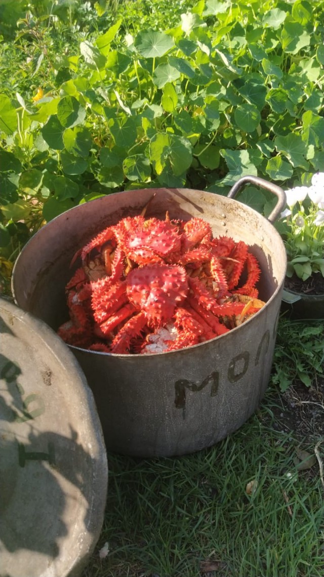 Я никогда не ел мясо краба