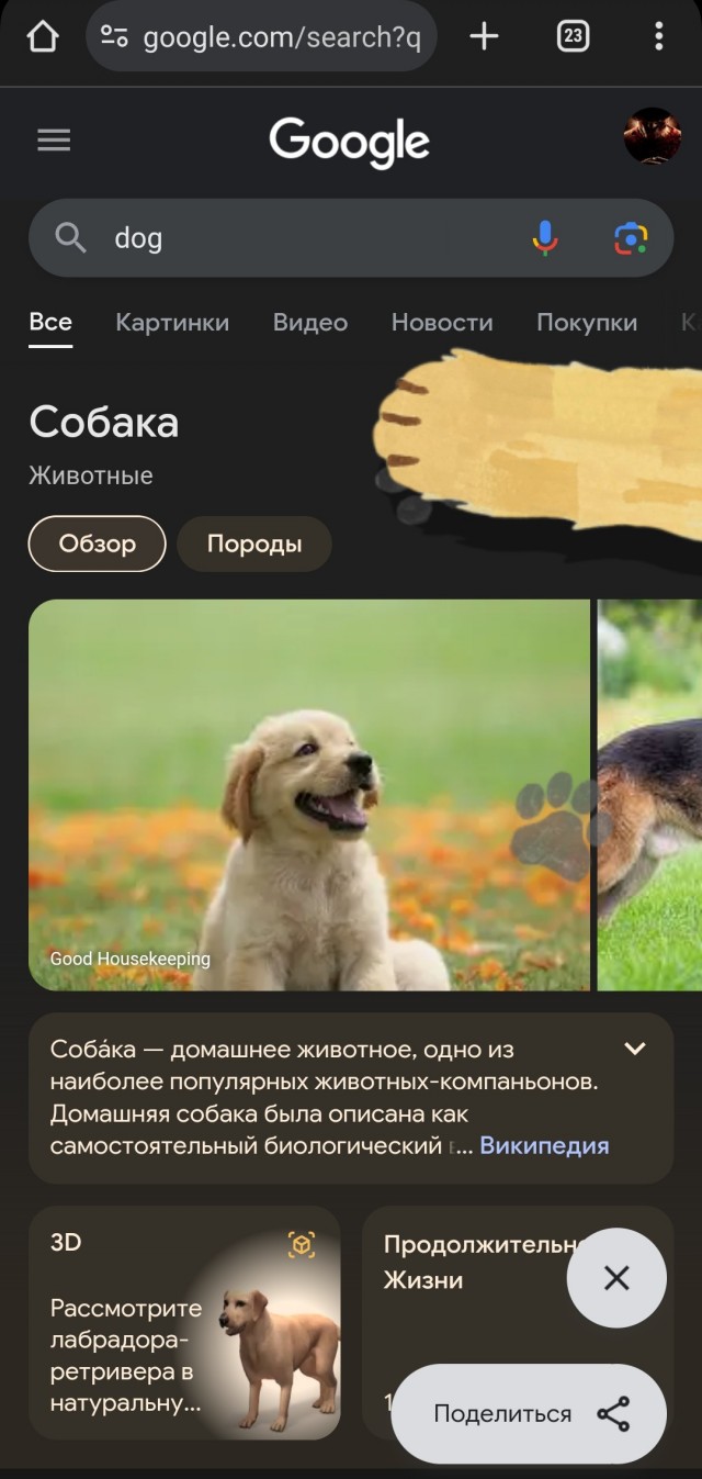 Пасхалка из Google