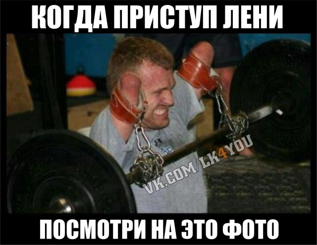 Мои вторые ноги