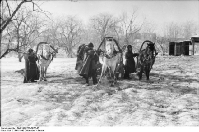1942 год в 60 фотографиях