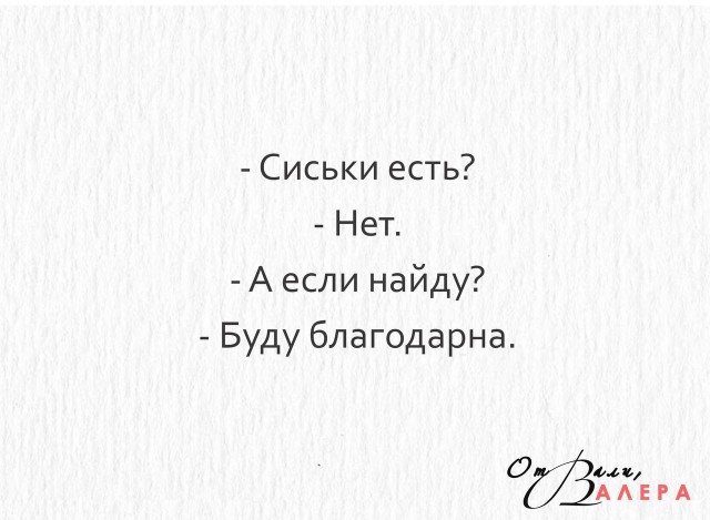 Грудь