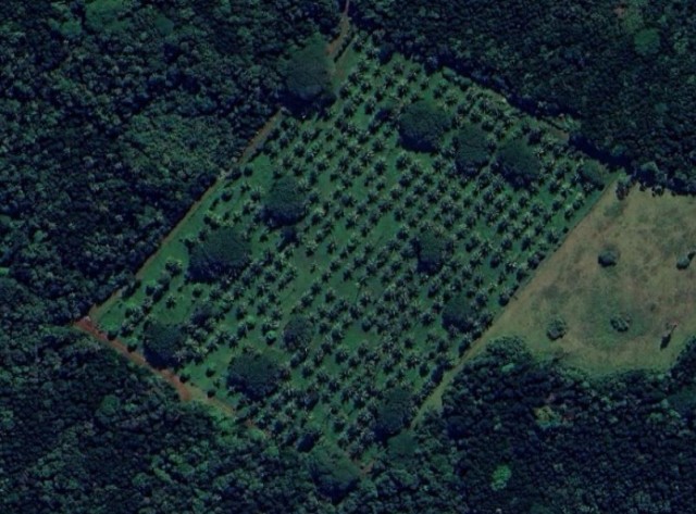 Уникальные и интересные места Google Maps - 2