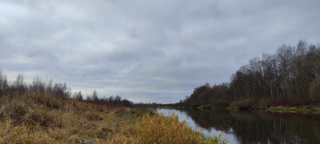 Березина, снег и два подуста