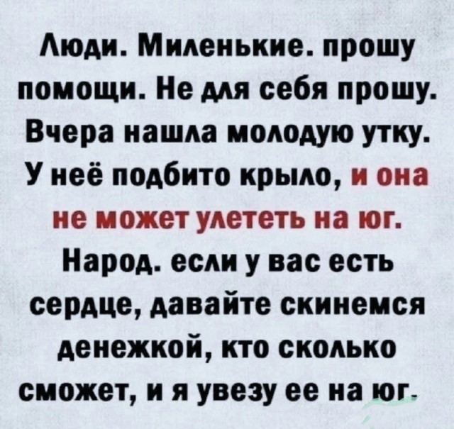 Так себе картинки 31.12.24